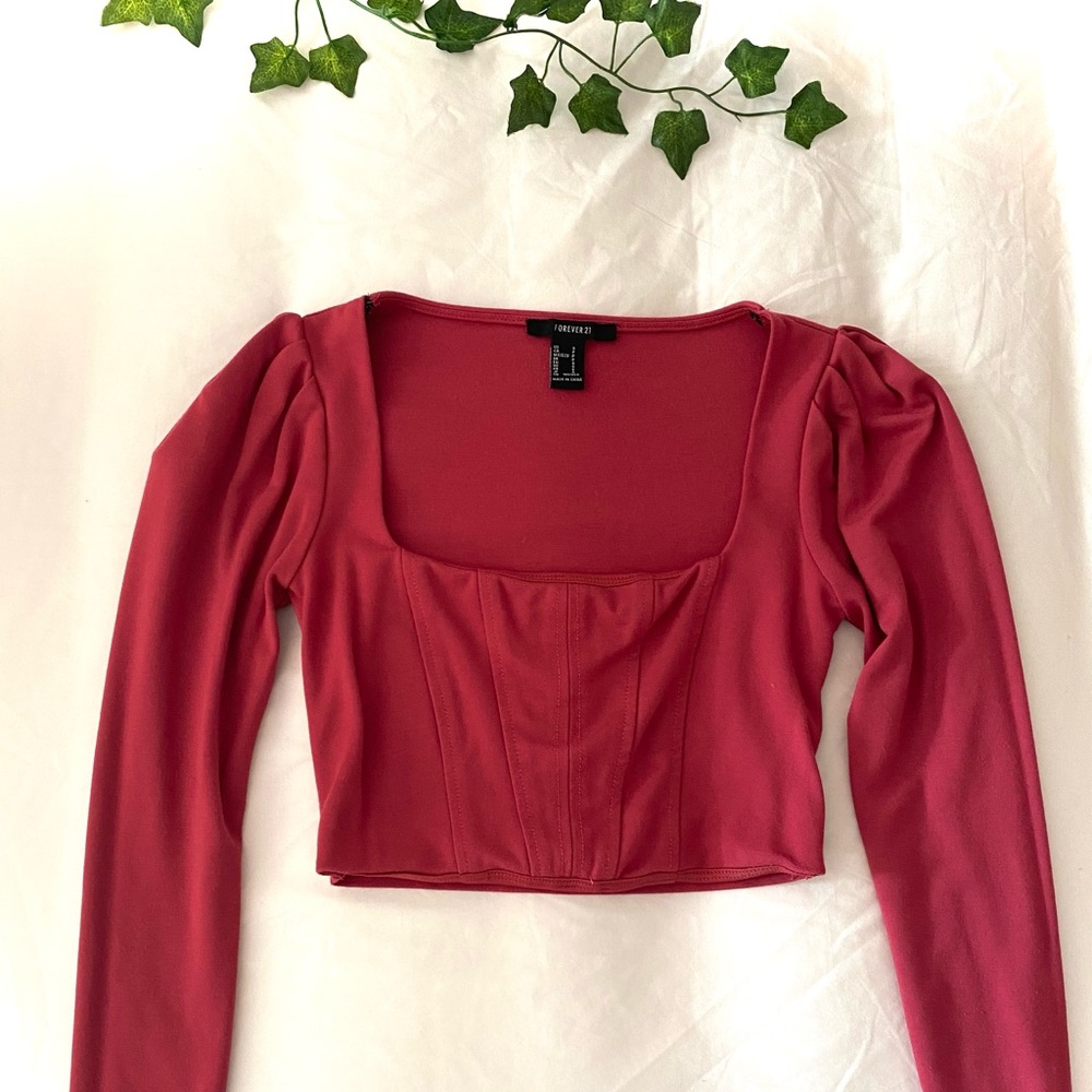 Pink Mauve Forever 21 Cropped Corset Long Sleeve